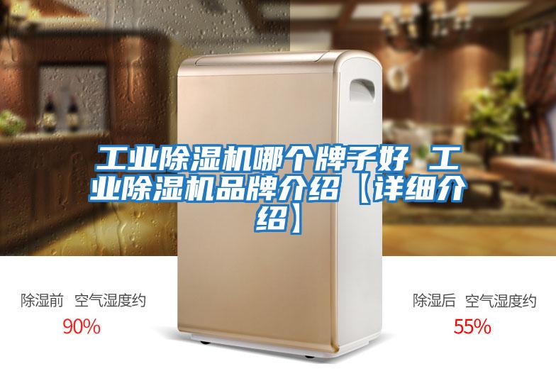 工業除濕機哪個牌子好 工業除濕機品牌介紹【詳細介紹】