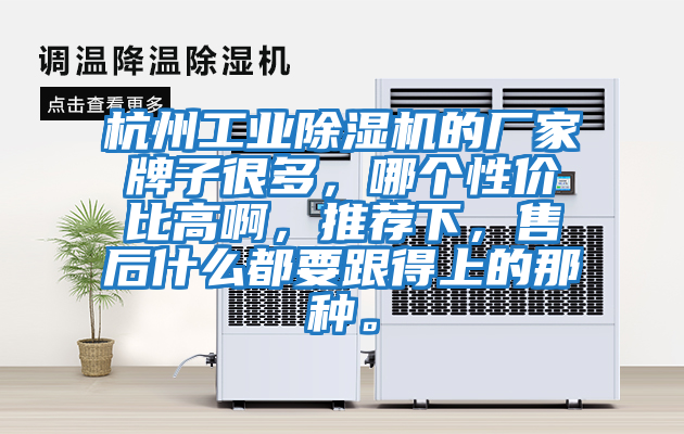 杭州工業除濕機的廠家牌子很多，哪個性價比高啊，推薦下，售后什么都要跟得上的那種。