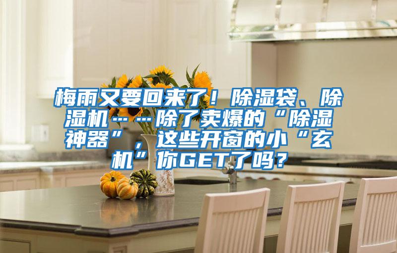 梅雨又要回來了！除濕袋、除濕機……除了賣爆的“除濕神器”，這些開窗的小“玄機”你GET了嗎？