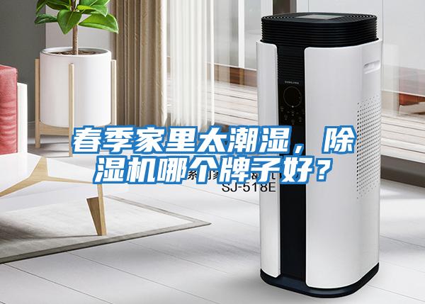 春季家里太潮濕，除濕機哪個牌子好？