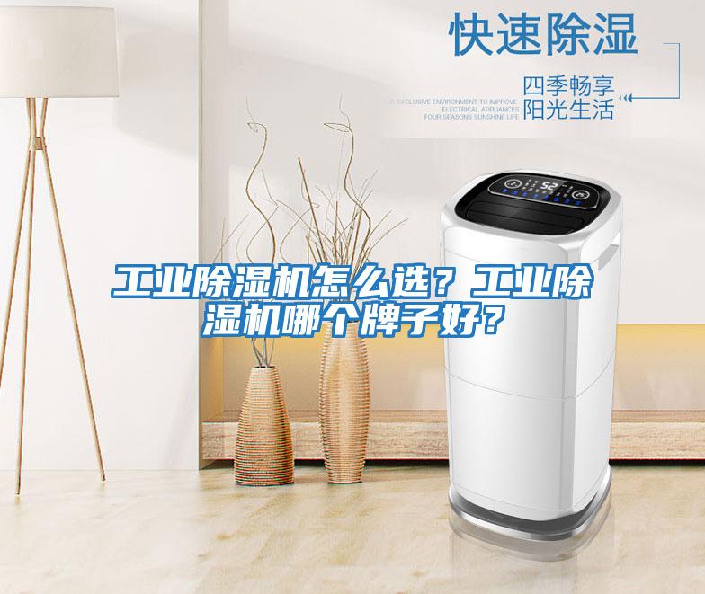 工業除濕機怎么選？工業除濕機哪個牌子好？