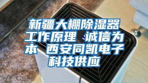 新疆大棚除濕器工作原理 誠信為本 西安同凱電子科技供應