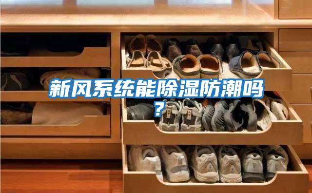 新風系統能除濕防潮嗎？