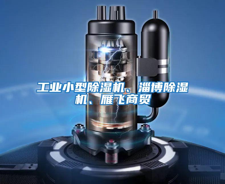 工業(yè)小型除濕機(jī)、淄博除濕機(jī)、雁飛商貿(mào)