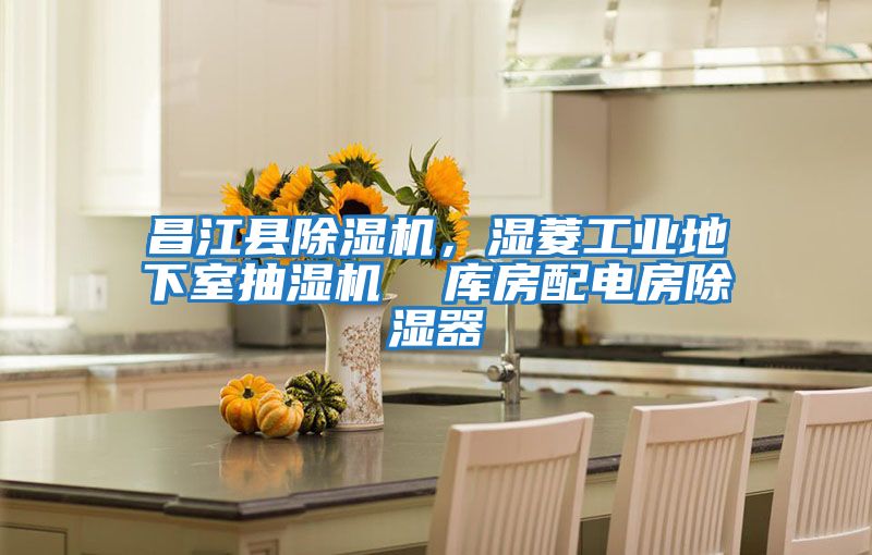 昌江縣除濕機(jī)，濕菱工業(yè)地下室抽濕機(jī)  庫房配電房除濕器