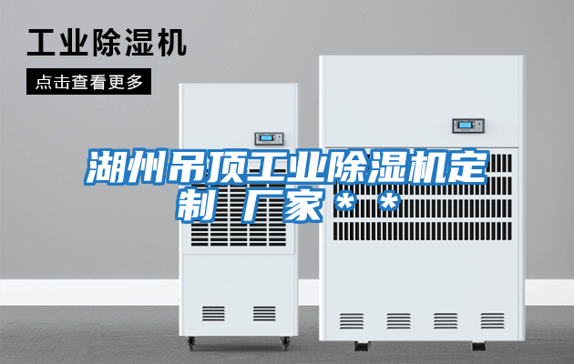湖州吊頂工業除濕機定制 廠家＊＊