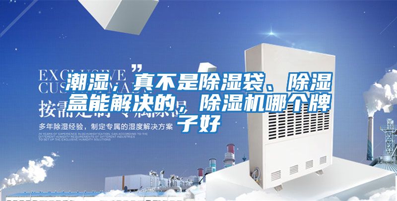 潮濕，真不是除濕袋、除濕盒能解決的，除濕機哪個牌子好