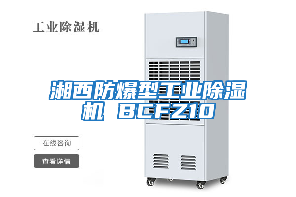 湘西防爆型工業除濕機 BCFZ10