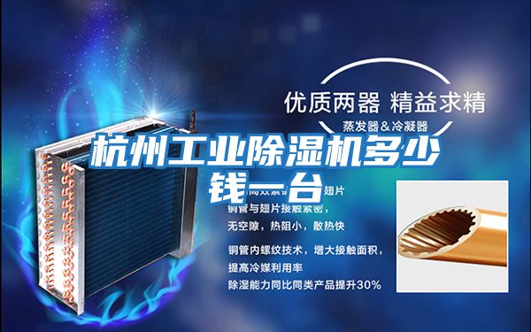 杭州工業(yè)除濕機(jī)多少錢(qián)一臺(tái)