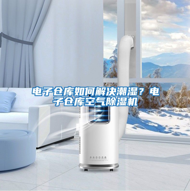 電子倉庫如何解決潮濕？電子倉庫空氣除濕機