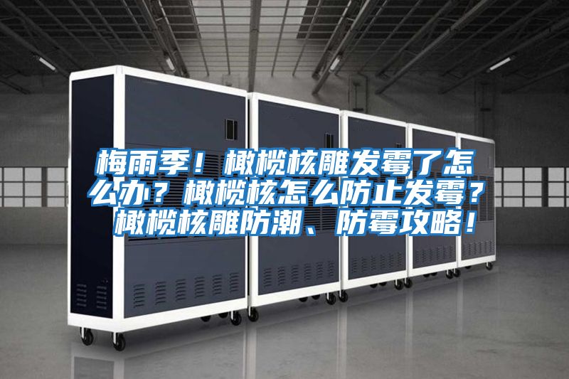 梅雨季！橄欖核雕發霉了怎么辦？橄欖核怎么防止發霉？ 橄欖核雕防潮、防霉攻略！