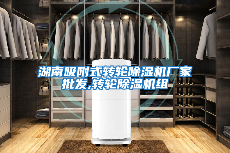 湖南吸附式轉(zhuǎn)輪除濕機廠家批發(fā),轉(zhuǎn)輪除濕機組