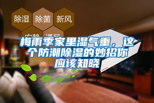 梅雨季家里濕氣重，這個防潮除濕的妙招你應(yīng)該知曉