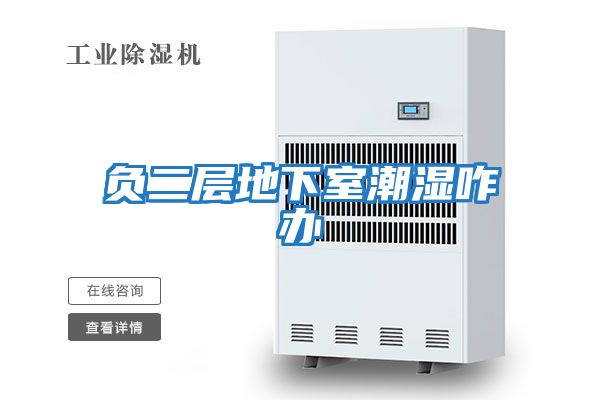 負二層地下室潮濕咋辦