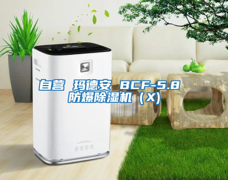 自營 瑪?shù)掳?BCF-5.8 防爆除濕機(X)