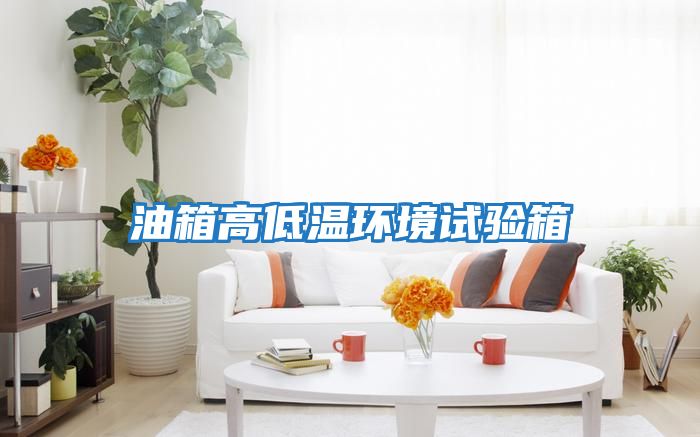 油箱高低溫環境試驗箱