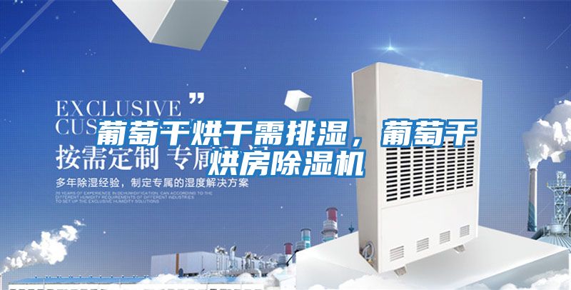 葡萄干烘干需排濕，葡萄干烘房除濕機(jī)