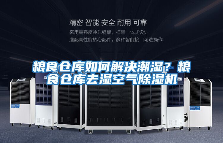 糧食倉庫如何解決潮濕？糧食倉庫去濕空氣除濕機(jī)