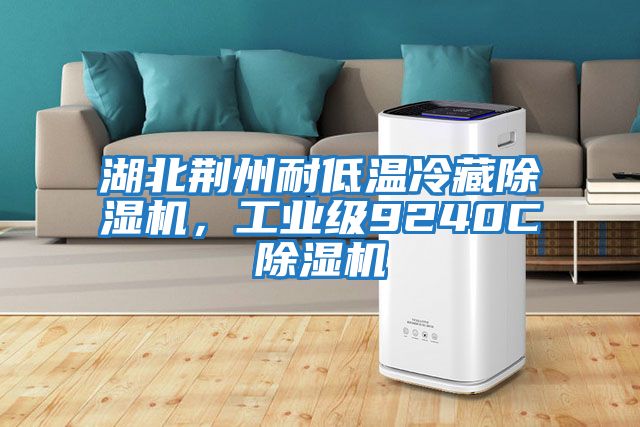 湖北荊州耐低溫冷藏除濕機，工業級9240C除濕機