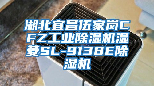湖北宜昌伍家崗CFZ工業除濕機濕菱SL-9138E除濕機