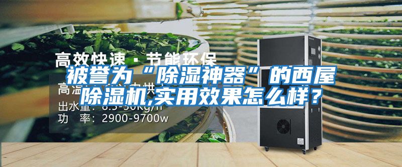 被譽為“除濕神器”的西屋除濕機,實用效果怎么樣？