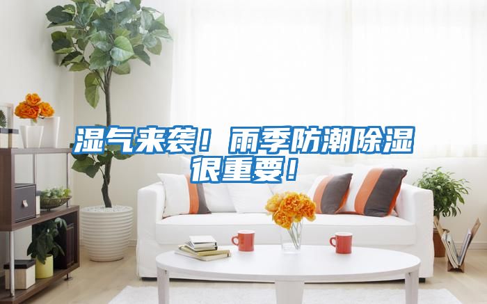 濕氣來襲！雨季防潮除濕很重要！