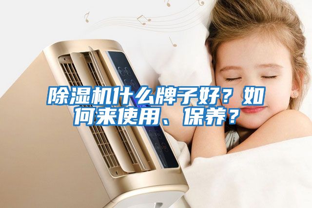 除濕機什么牌子好？如何來使用、保養？