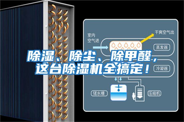 除濕、除塵、除甲醛，這臺除濕機全搞定！
