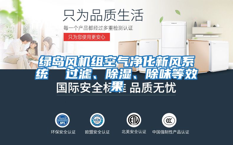 綠島風機組空氣凈化新風系統(tǒng)  過濾、除濕、除味等效果