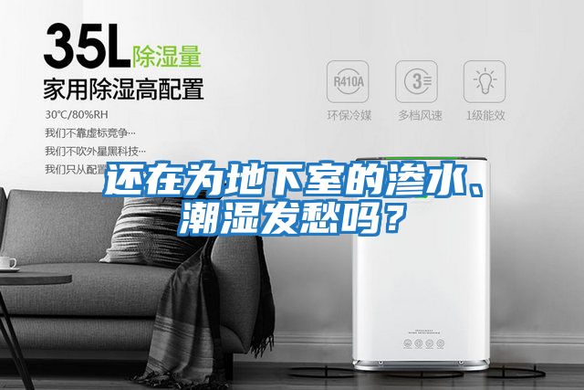 還在為地下室的滲水、潮濕發愁嗎？