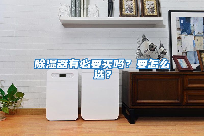 除濕器有必要買嗎？要怎么選？