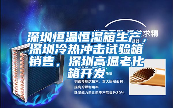 深圳恒溫恒濕箱生產，深圳冷熱沖擊試驗箱銷售，深圳高溫老化箱開發(fā)
