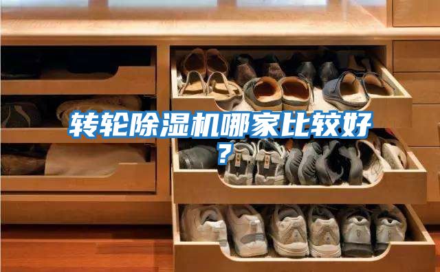 轉(zhuǎn)輪除濕機哪家比較好？