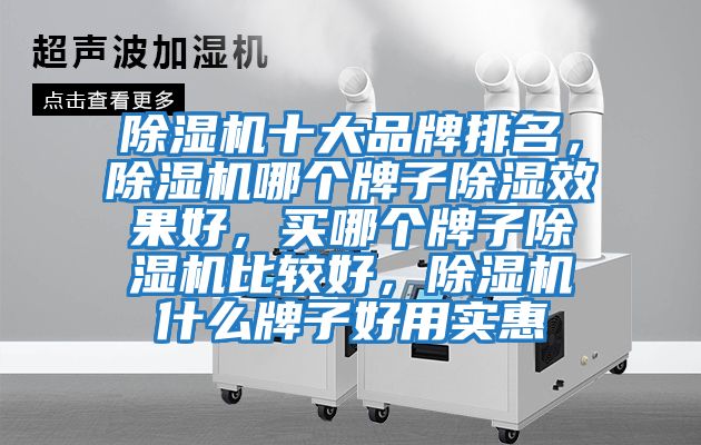 除濕機十大品牌排名，除濕機哪個牌子除濕效果好，買哪個牌子除濕機比較好，除濕機什么牌子好用實惠