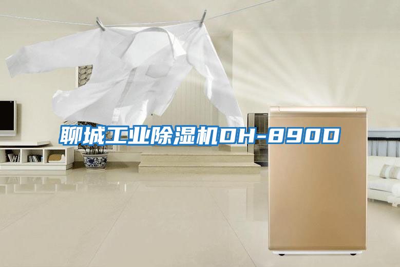 聊城工業除濕機DH-890D