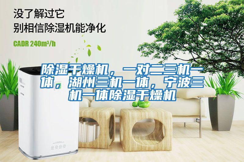 除濕干燥機，一對二三機一體，湖州三機一體，寧波三機一體除濕干燥機