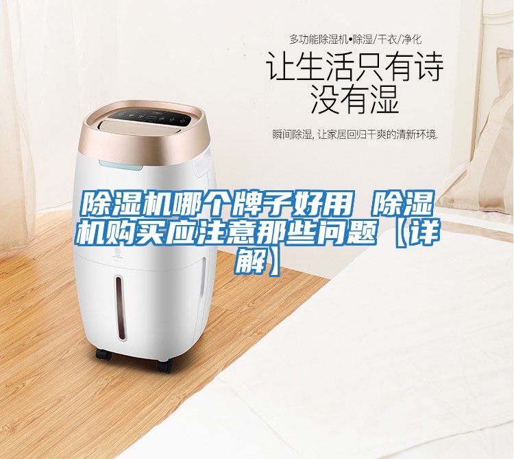 除濕機(jī)哪個(gè)牌子好用 除濕機(jī)購(gòu)買應(yīng)注意那些問題【詳解】