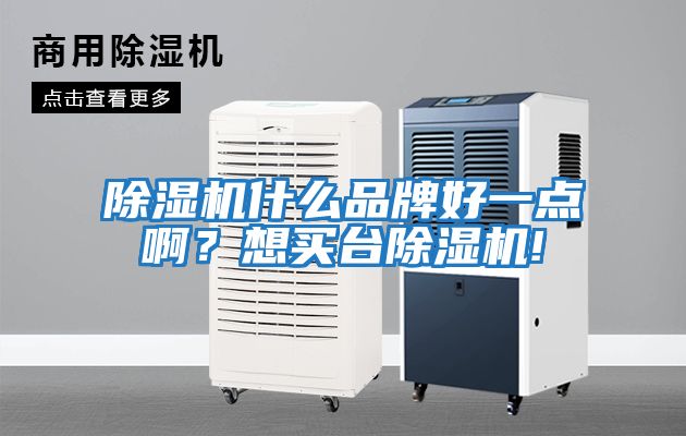 除濕機(jī)什么品牌好一點(diǎn)啊？想買(mǎi)臺(tái)除濕機(jī)!