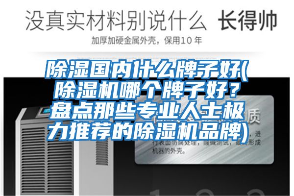 除濕國內(nèi)什么牌子好(除濕機哪個牌子好？盤點那些專業(yè)人士極力推薦的除濕機品牌)