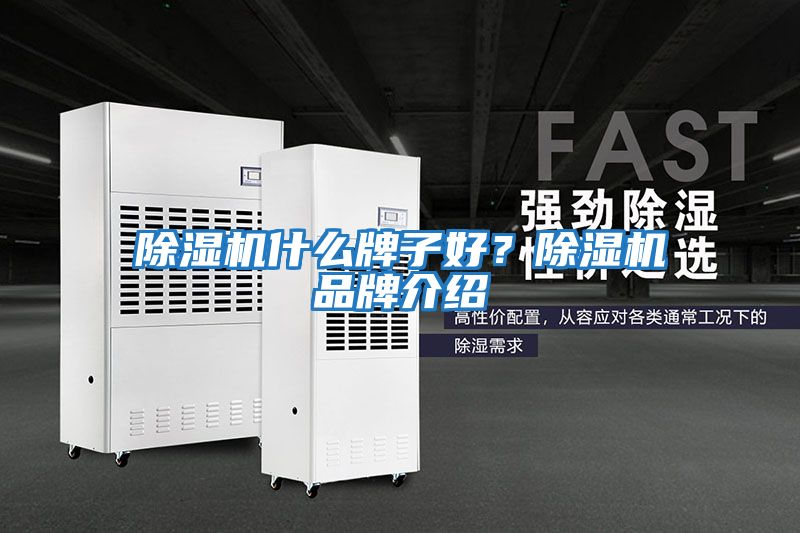 除濕機(jī)什么牌子好?除濕機(jī)品牌介紹