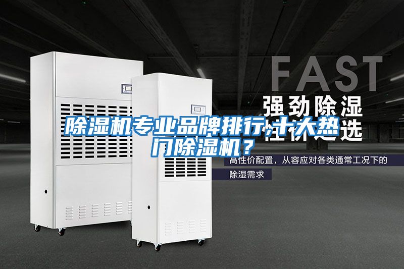 除濕機(jī)專業(yè)品牌排行,十大熱門(mén)除濕機(jī)？