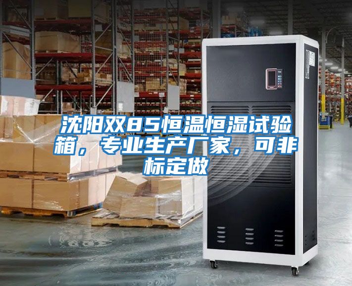 沈陽雙85恒溫恒濕試驗箱，專業(yè)生產(chǎn)廠家，可非標定做
