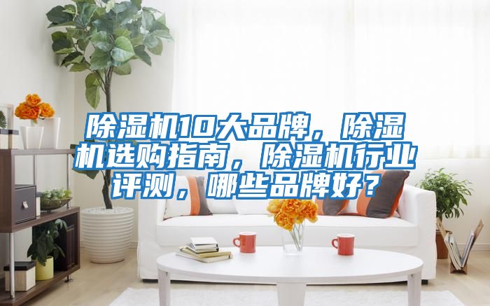 除濕機(jī)10大品牌，除濕機(jī)選購指南，除濕機(jī)行業(yè)評測，哪些品牌好？