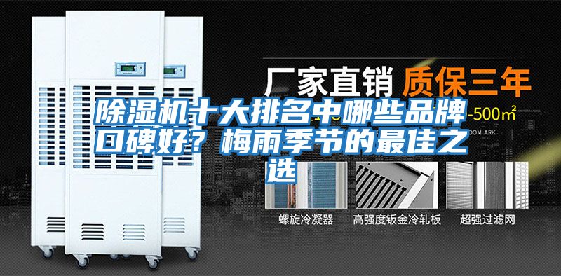 除濕機十大排名中哪些品牌口碑好？梅雨季節的最佳之選
