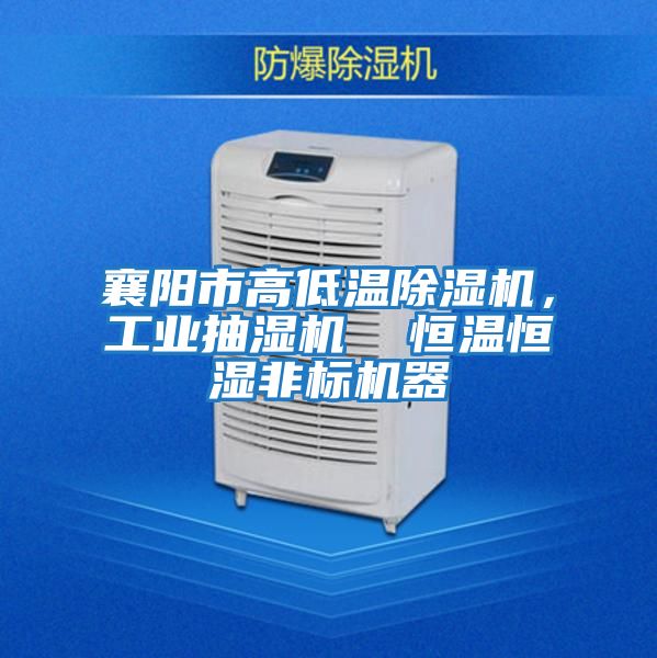 襄陽市高低溫除濕機，工業(yè)抽濕機  恒溫恒濕非標(biāo)機器