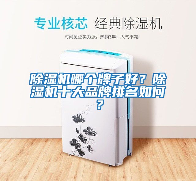 除濕機哪個牌子好？除濕機十大品牌排名如何？