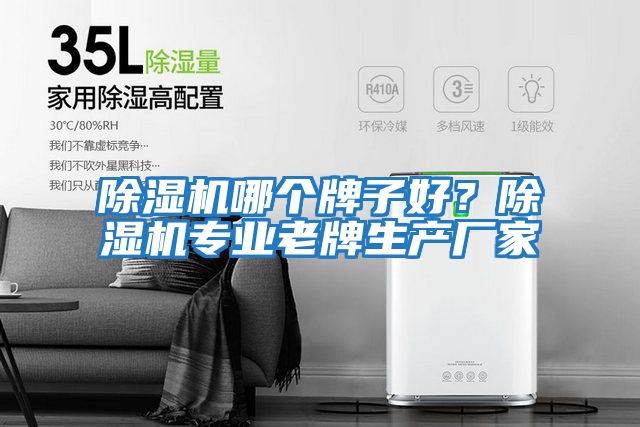 除濕機哪個牌子好？除濕機專業老牌生產廠家