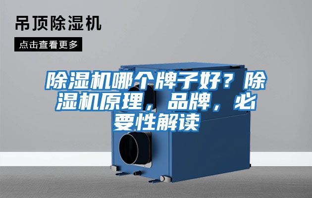 除濕機(jī)哪個牌子好？除濕機(jī)原理，品牌，必要性解讀