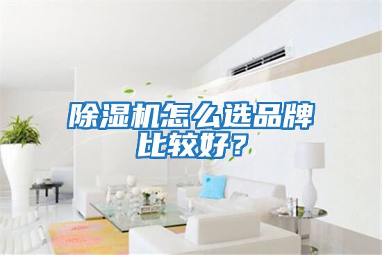 除濕機(jī)怎么選品牌比較好？