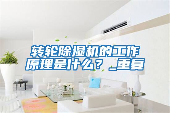 轉輪除濕機的工作原理是什么？_重復